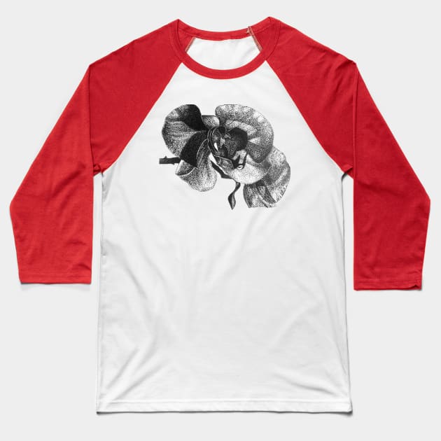 "Wild Orchid" Baseball T-Shirt by SeanKalleyArt